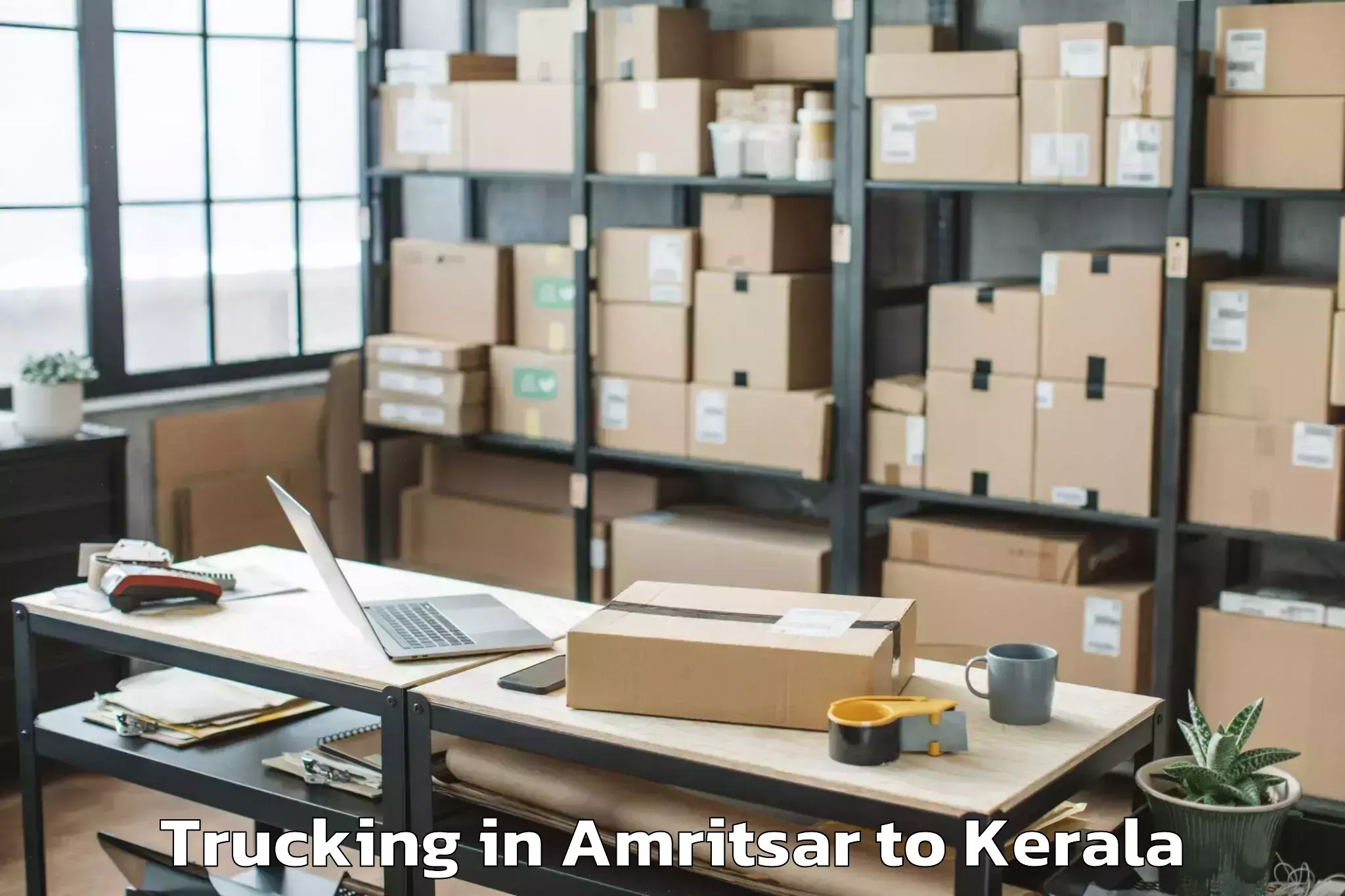 Quality Amritsar to Naduvannur Trucking